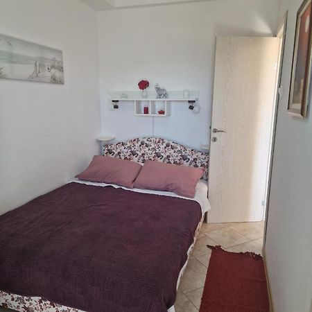 Marta Apartment Petrovac Zewnętrze zdjęcie